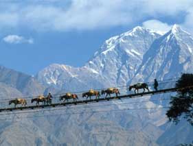 Splendour Himalaya