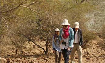 rajasthan wild life tours