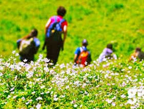 Chardham yatra with Valley of Flowers