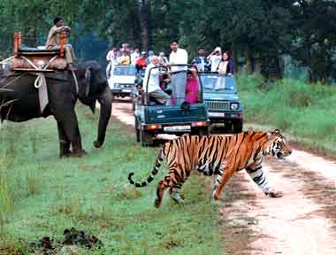 Corbett Nainital with Musoorrie Tour 