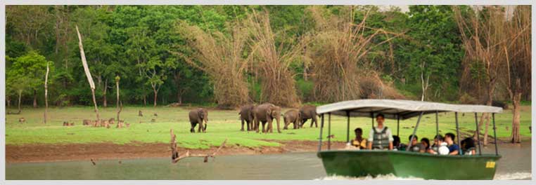 Nagarhole National Park Karnataka