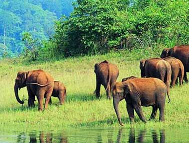 Kerala tour packages