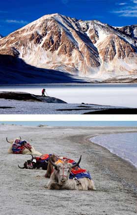 Explore Ladakh with Nubra & Pangong Tso