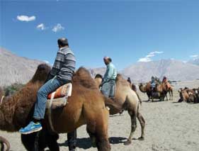 Explore Ladakh with Nubra Valley