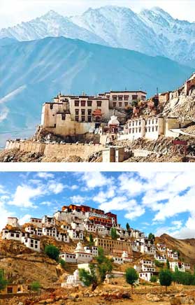 4 Nights stay in Leh