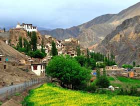 Best of Ladakh with Sham Valley