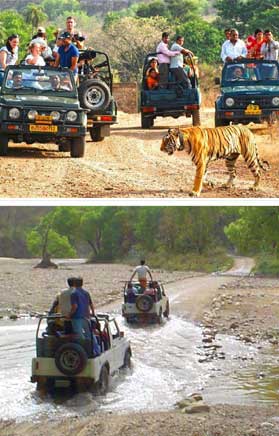 Corbett Nainital Tour