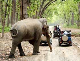 Corbett Nainital Tour